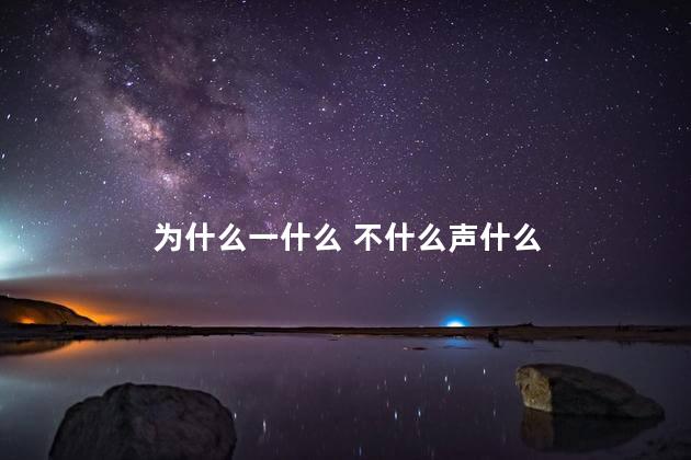 为什么一什么 不什么声什么
